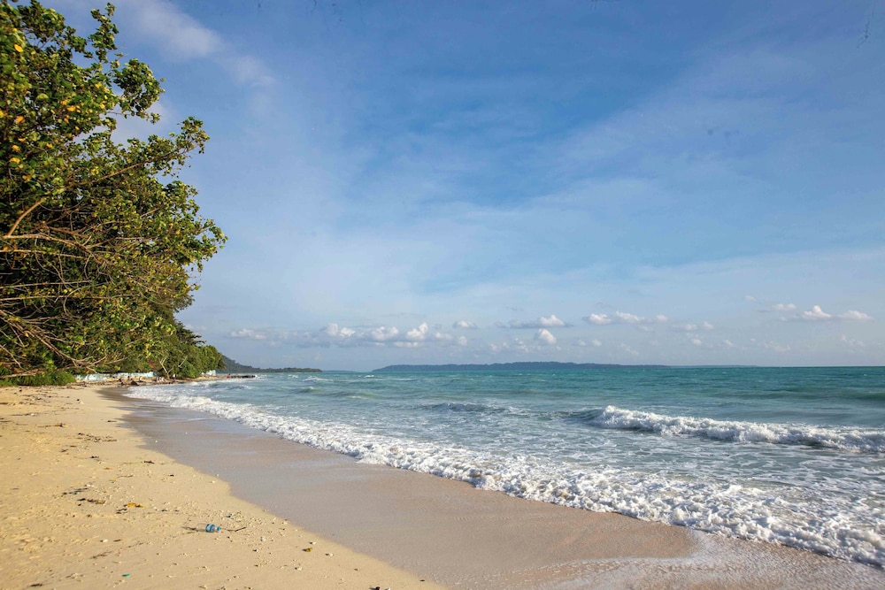 Coral Reef Resort 36/50