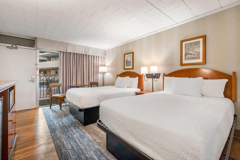 Room, 2 Double Beds