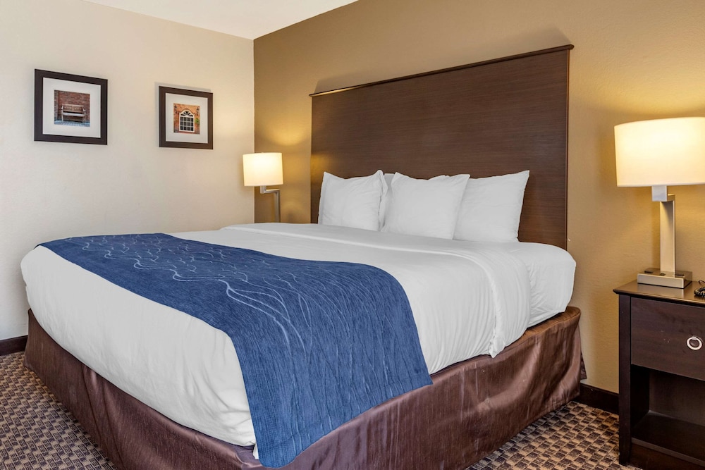 Comfort Inn Wings Stadium 11/29