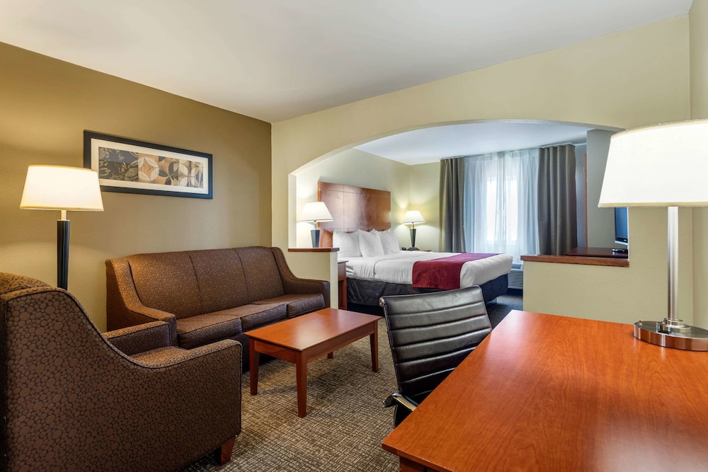 Comfort Suites North Dallas 25/31