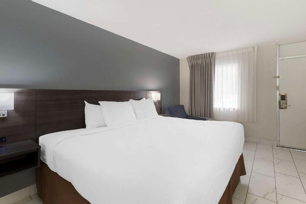 غرفة قياسية بسرير كوين، Downtown Inn & Studio Suites 2/6