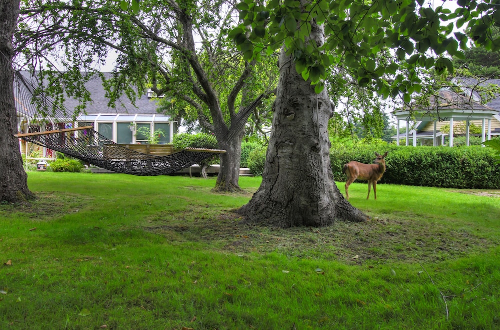 Country Cottage of Langley 56/67