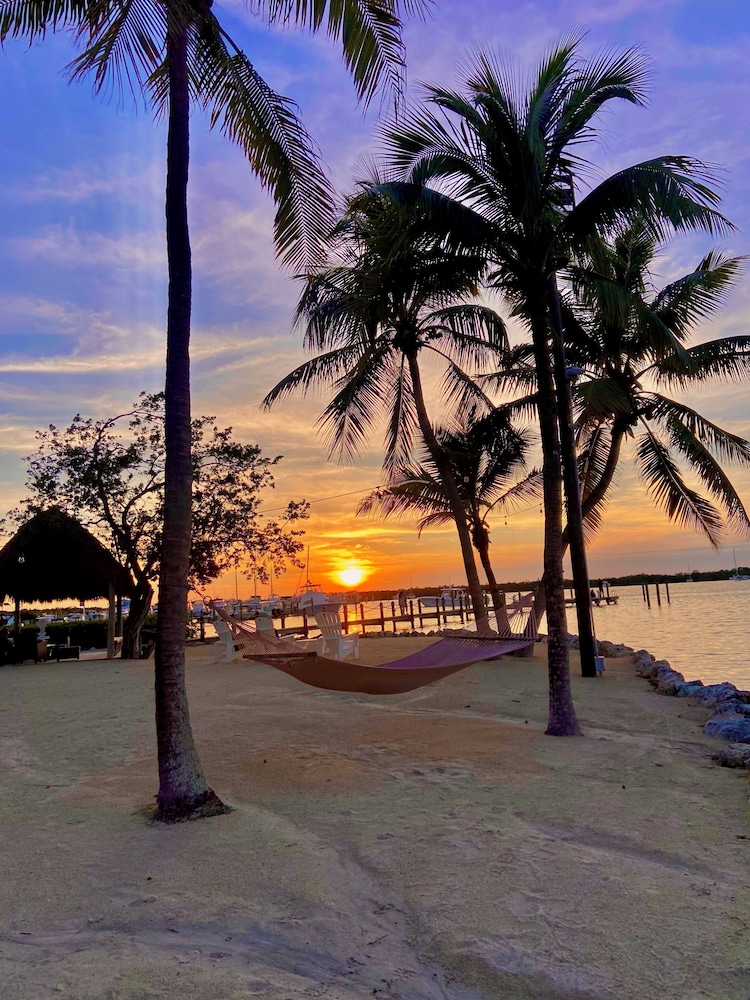 Coconut Palm Inn 46/50
