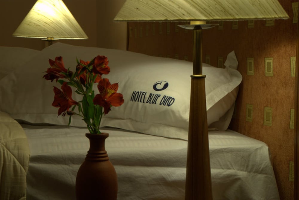 蓝鸟酒店(HOTEL BLUE BIRD) 图片5