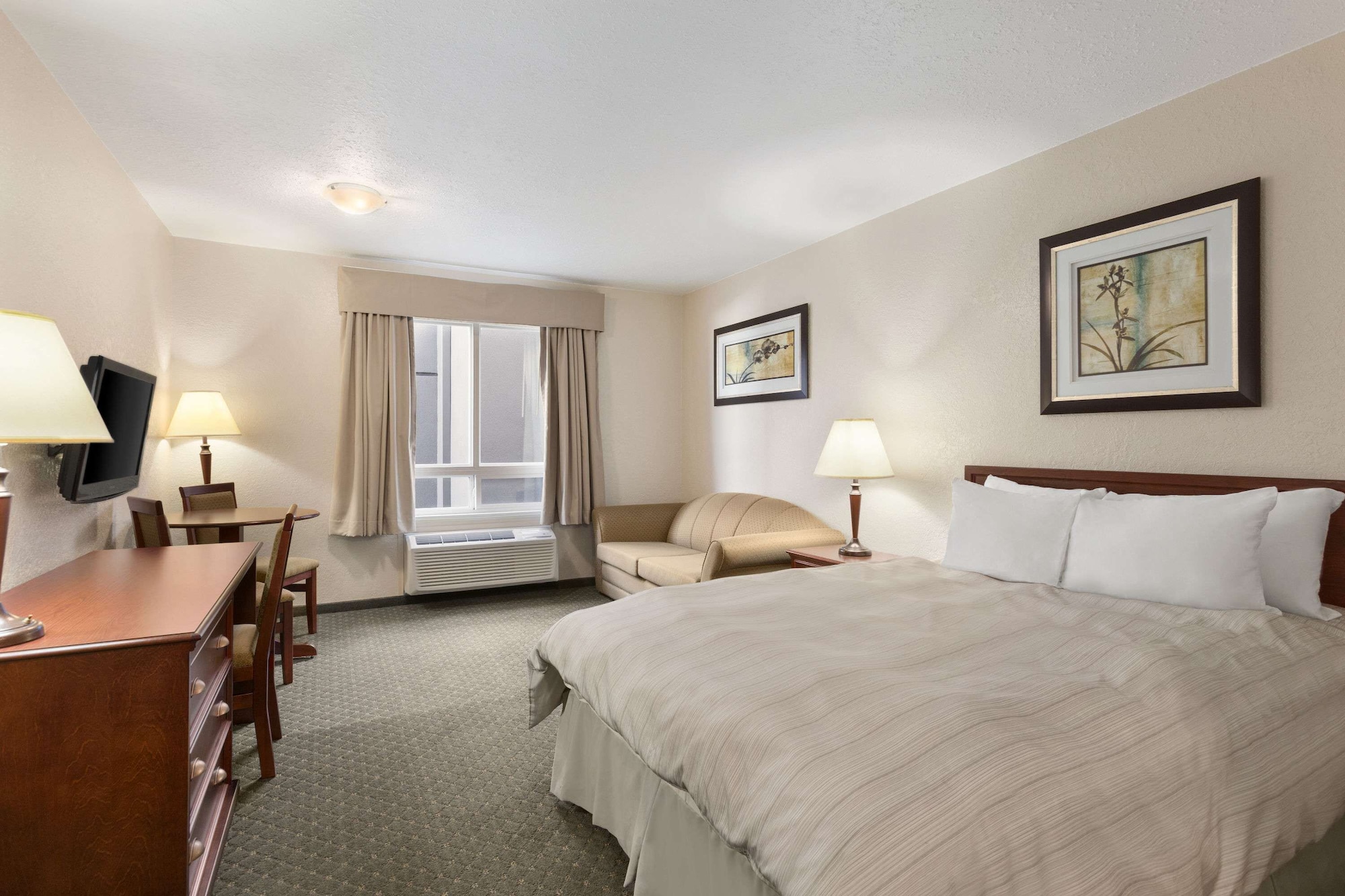 Efficiency, Queen Bed, Sofa