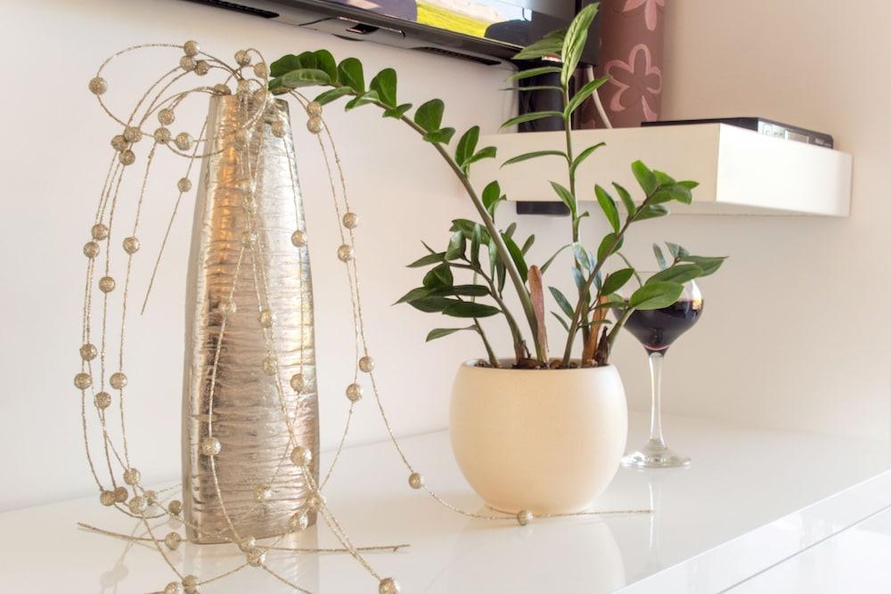 Villa Lavanda 10/50