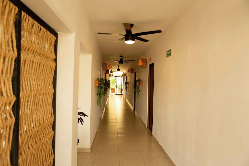 Nomads Hotel Hostel And Bar 8/55