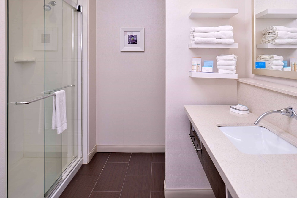 Hampton Inn Suites Dallas Market Center 24/75