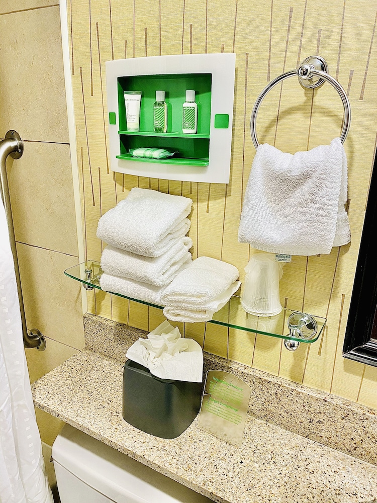 Holiday Inn Manhattan 6th Avenue Chelsea 24/41