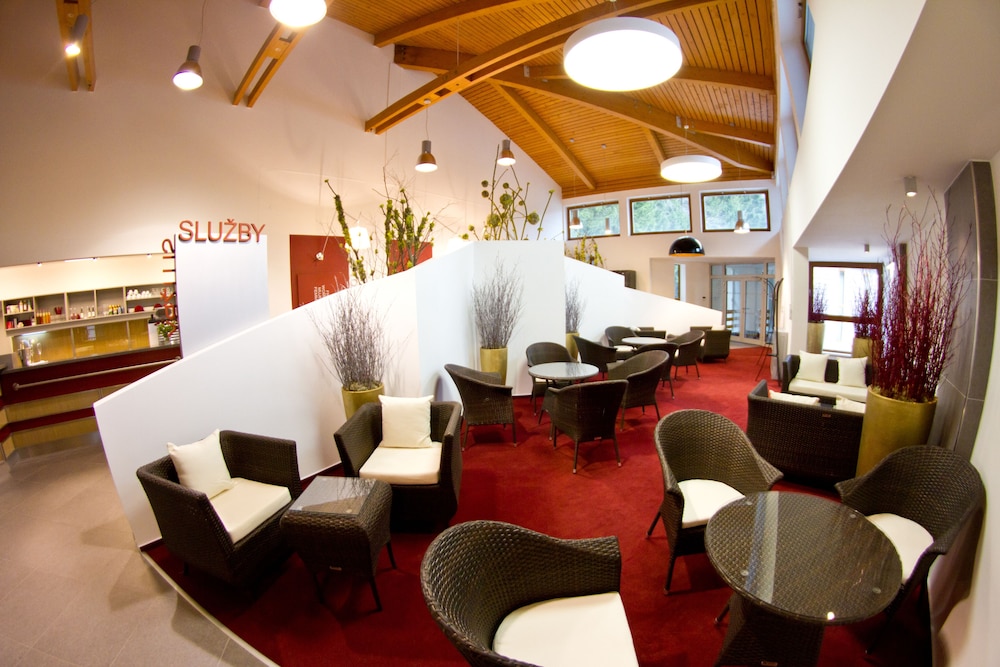 Hotel VZ Bedichov 33/50