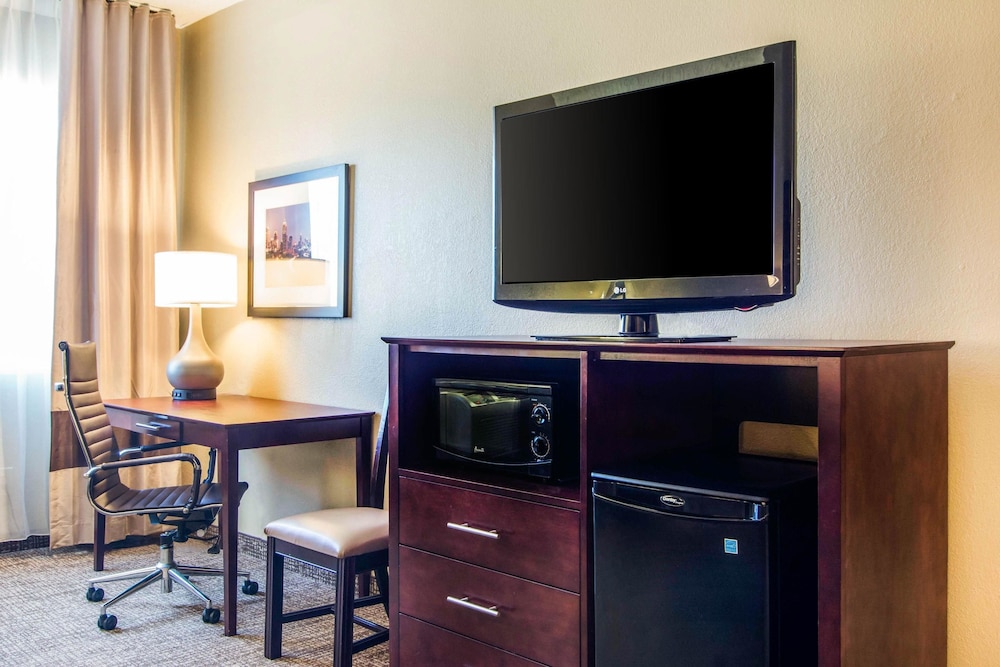 Comfort Inn Atlanta Downtown South 29/34