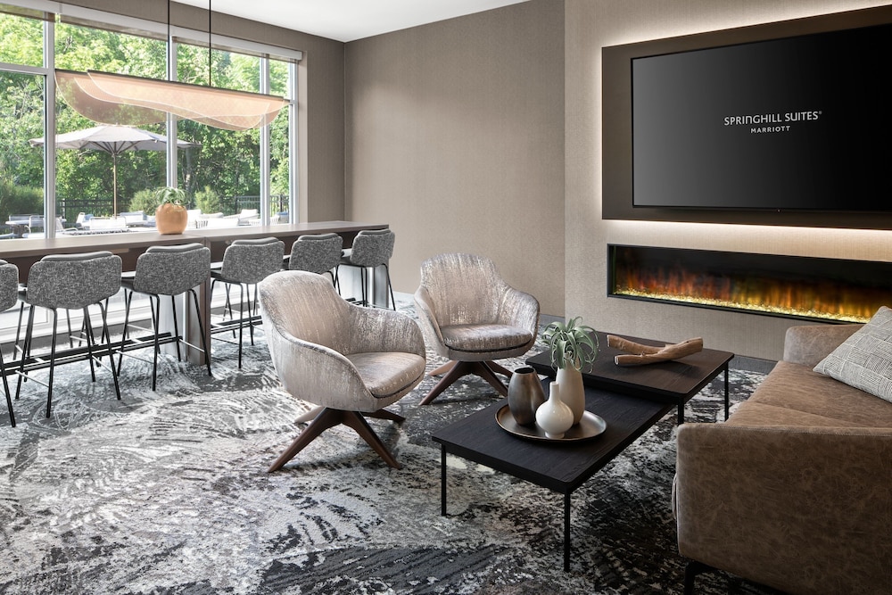 SpringHill Suites Kalamazoo Portage 14/18