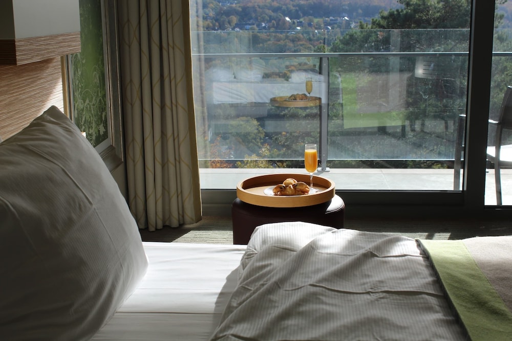 Silva Hotel Spa Balmoral 19/60