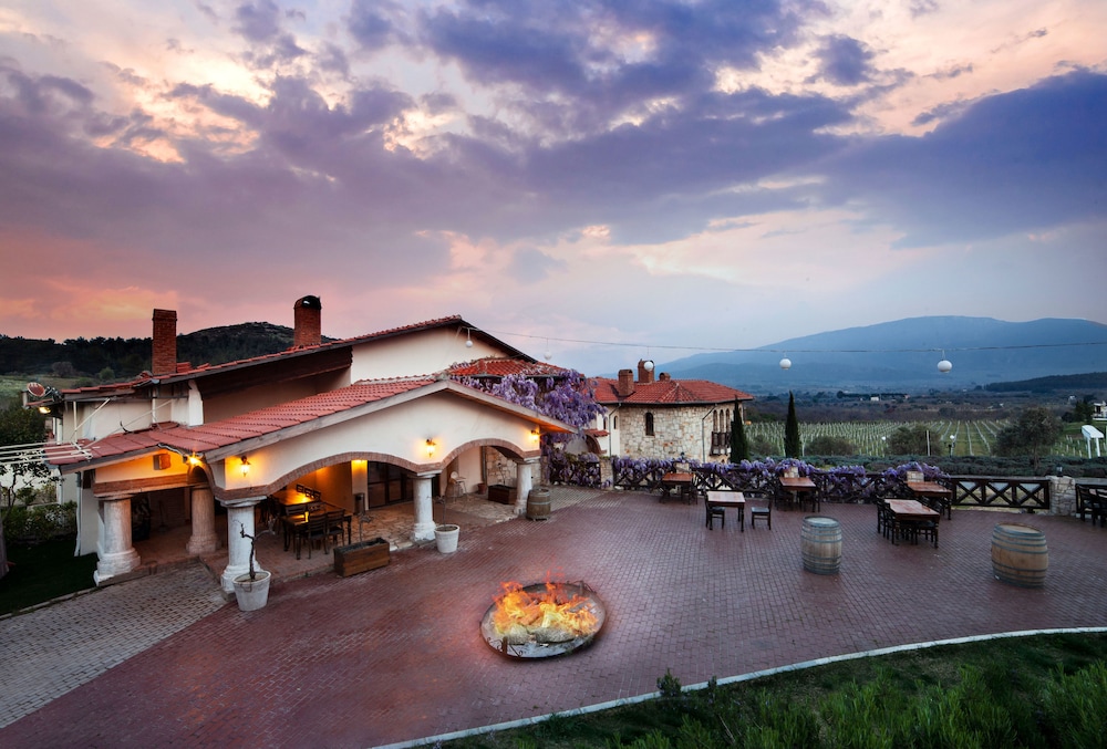 Vinifera Vineyards Hotel 1/50