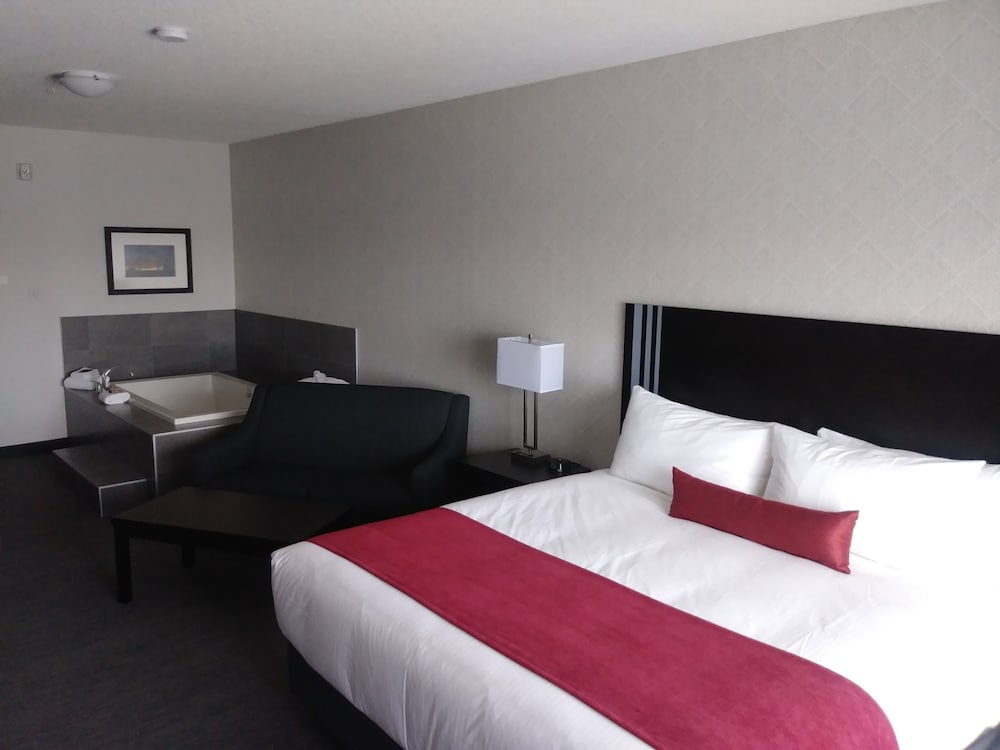 Park Inn By Radisson Edmonton Airport 18/60