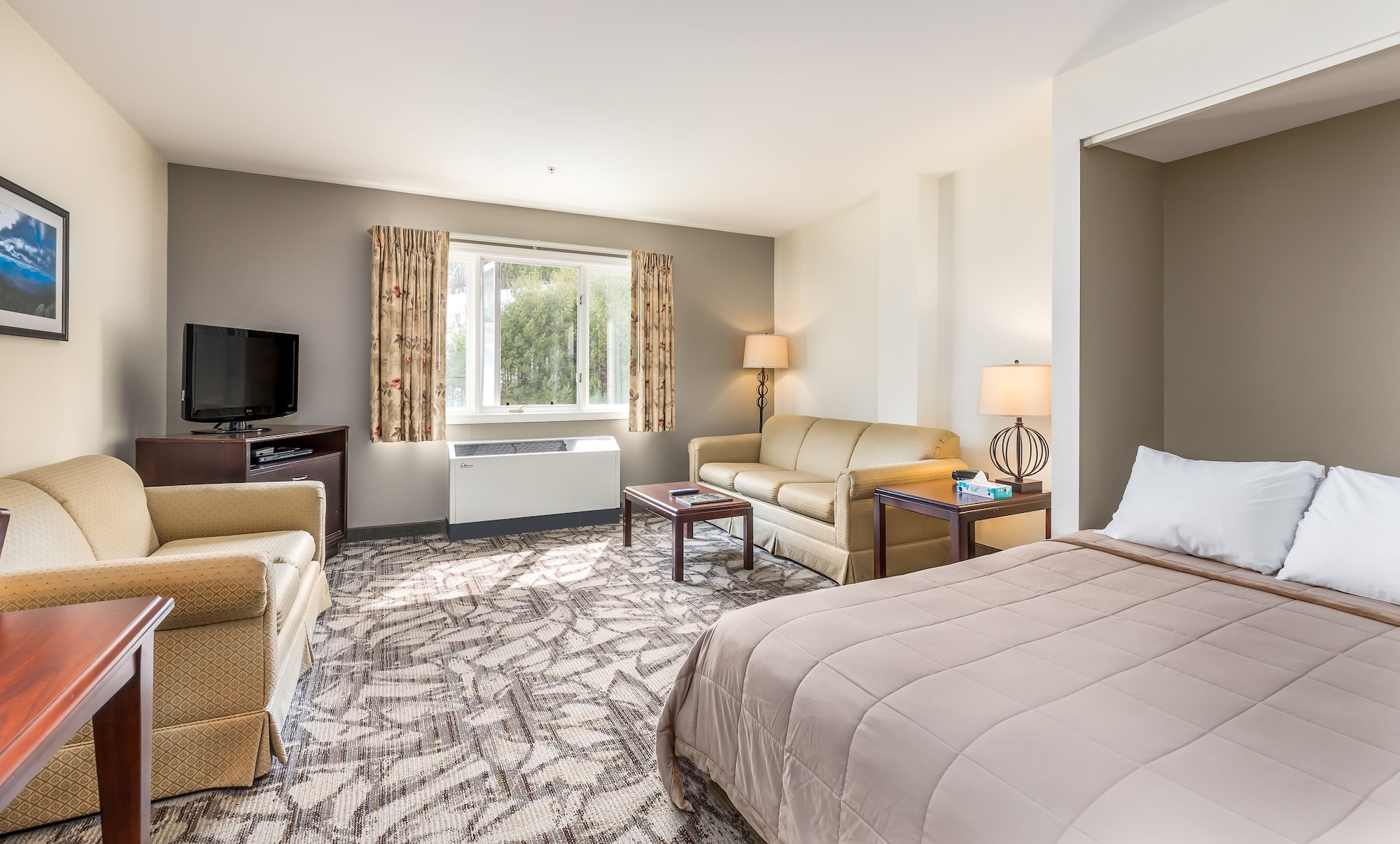 Studio, Queen Murphy Bed, Sofa