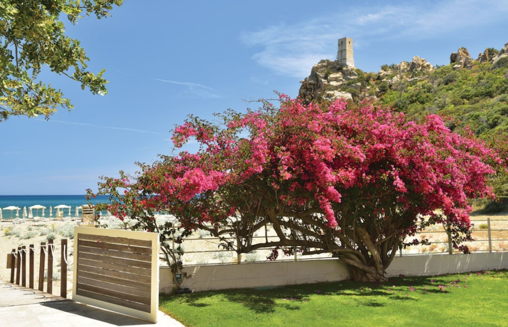 Hotel Club Torre Salinas - Adults Only 45/50