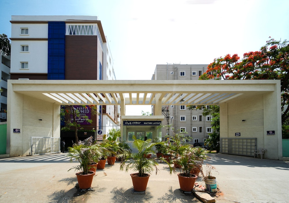 Zip By Spree Hotels Purple Orchid 6/36