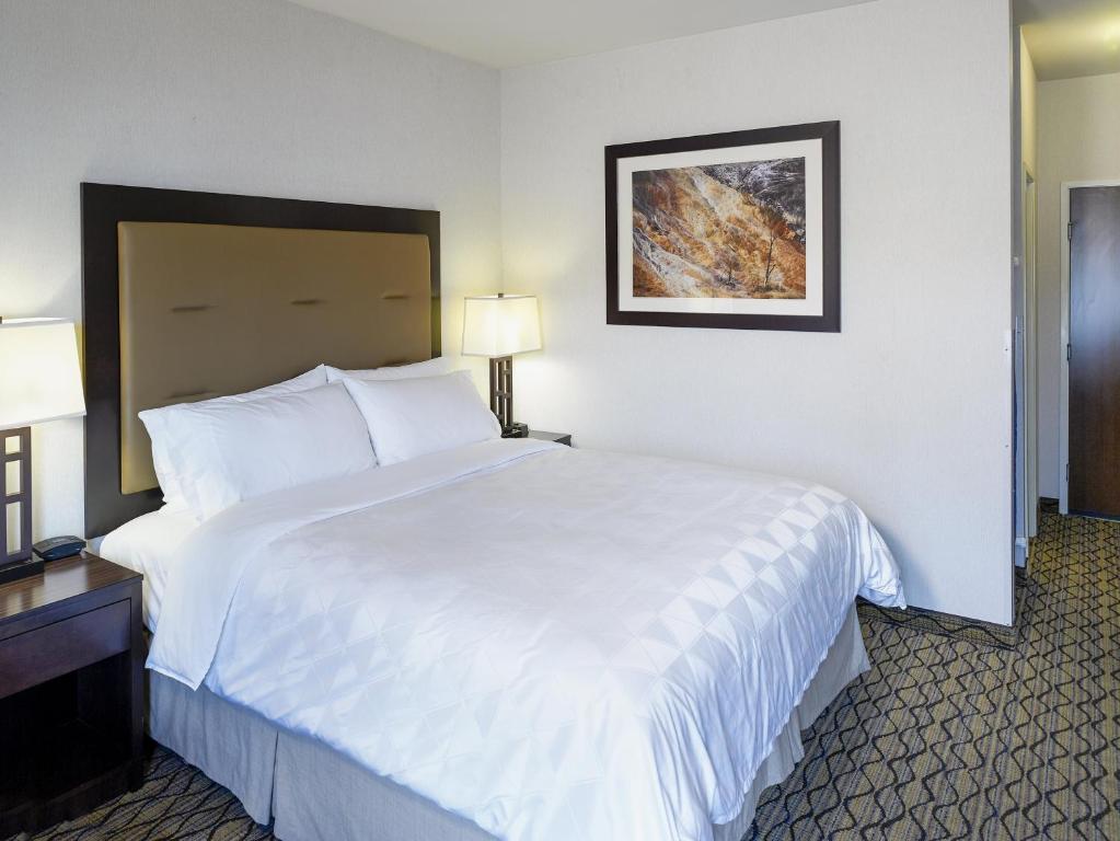 1 Bedroom, Suite
