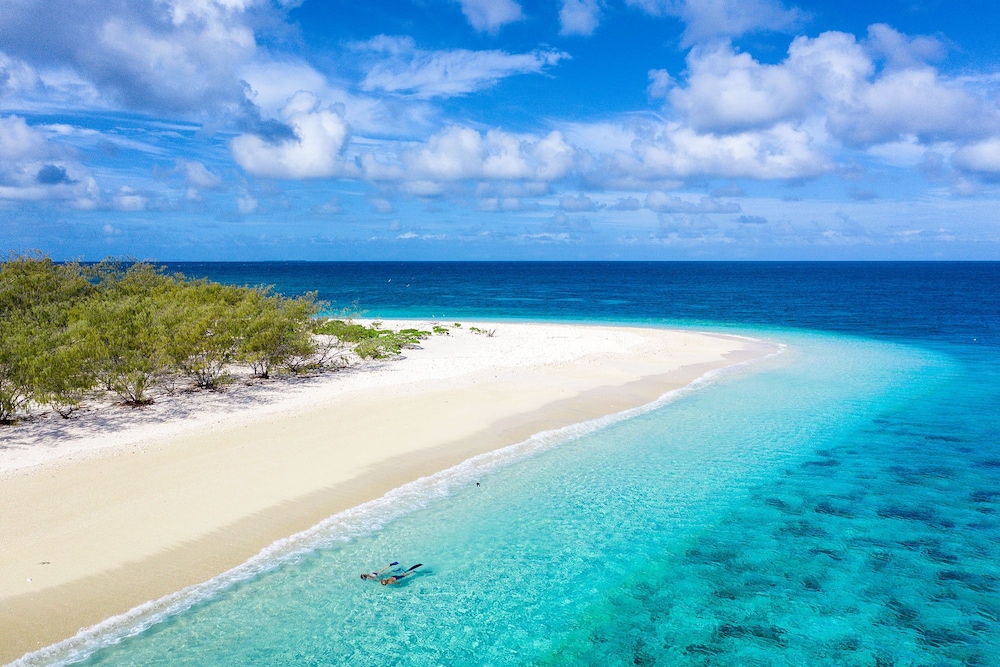 Wilson Island Resort 19/38
