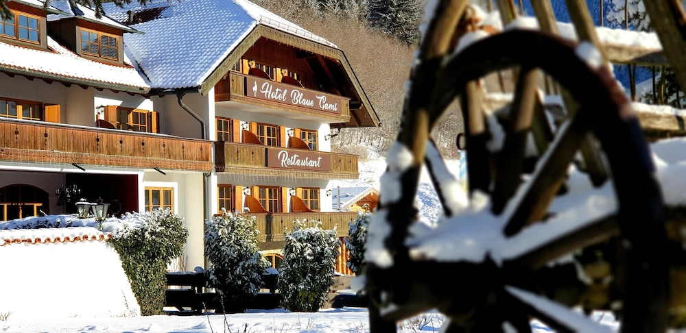Hotel Blaue Gams 69/73