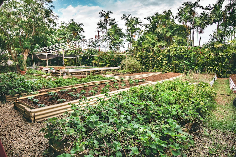 KARIWAK VILLAGE HOLISTIC HAVEN HOTEL 40/50