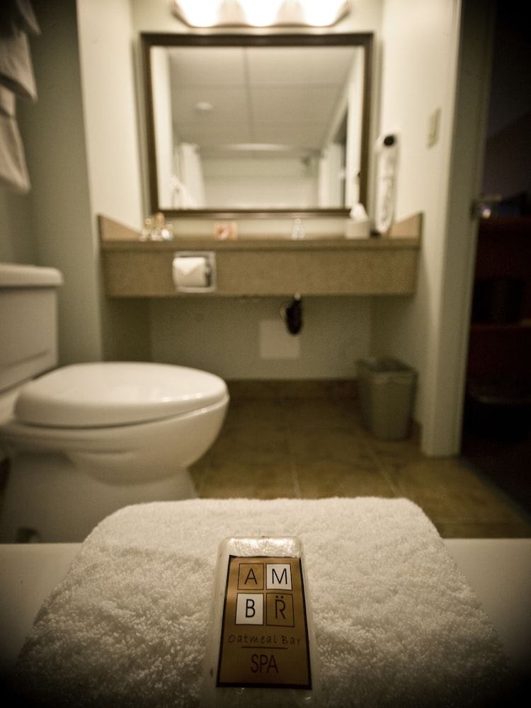 Service Plus Inns and Suites Calgary 51/56