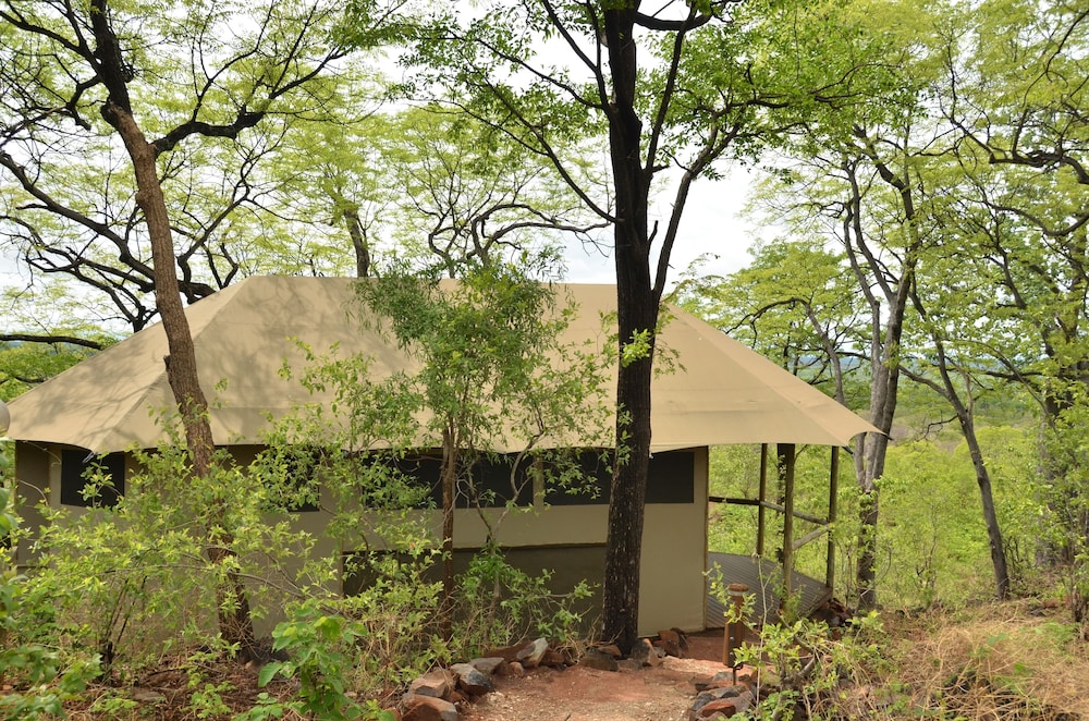 GHOHA HILLS SAVUTI 43/50