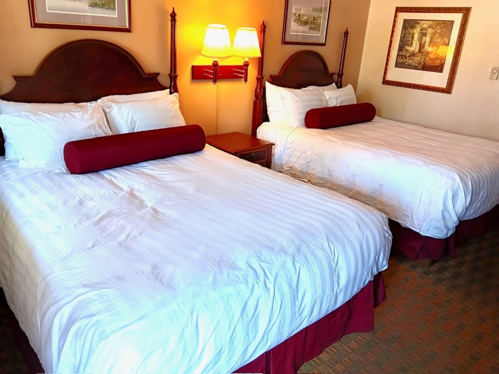 Room, Single, 2 Double Beds