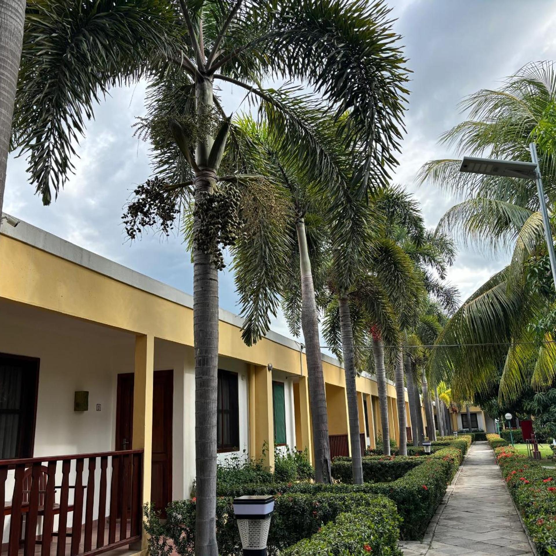 Palm Malinamoc Hotel 46/49