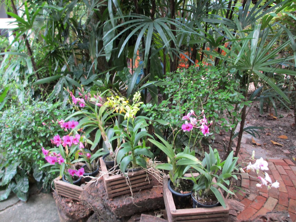 Real Relax Resort & Beauty Massage 31/41