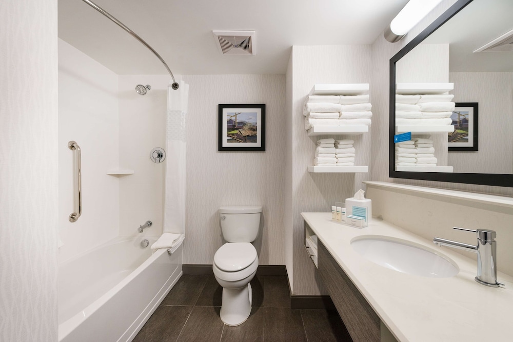 Hampton Inn & Suites Miami Wynwood Design District 13/45