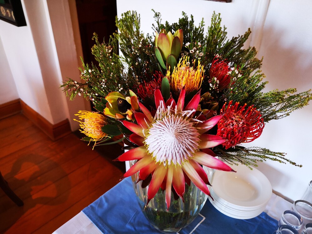 Knysna Manor House 27/50