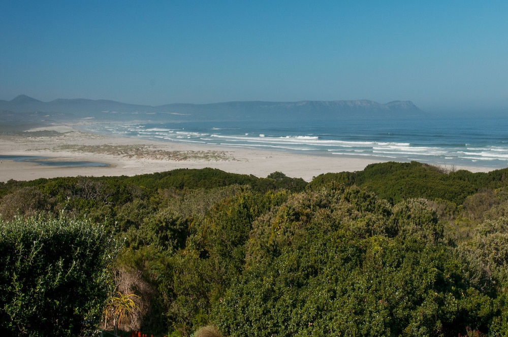 African Pride Mosselberg On Grotto Beach 41/50