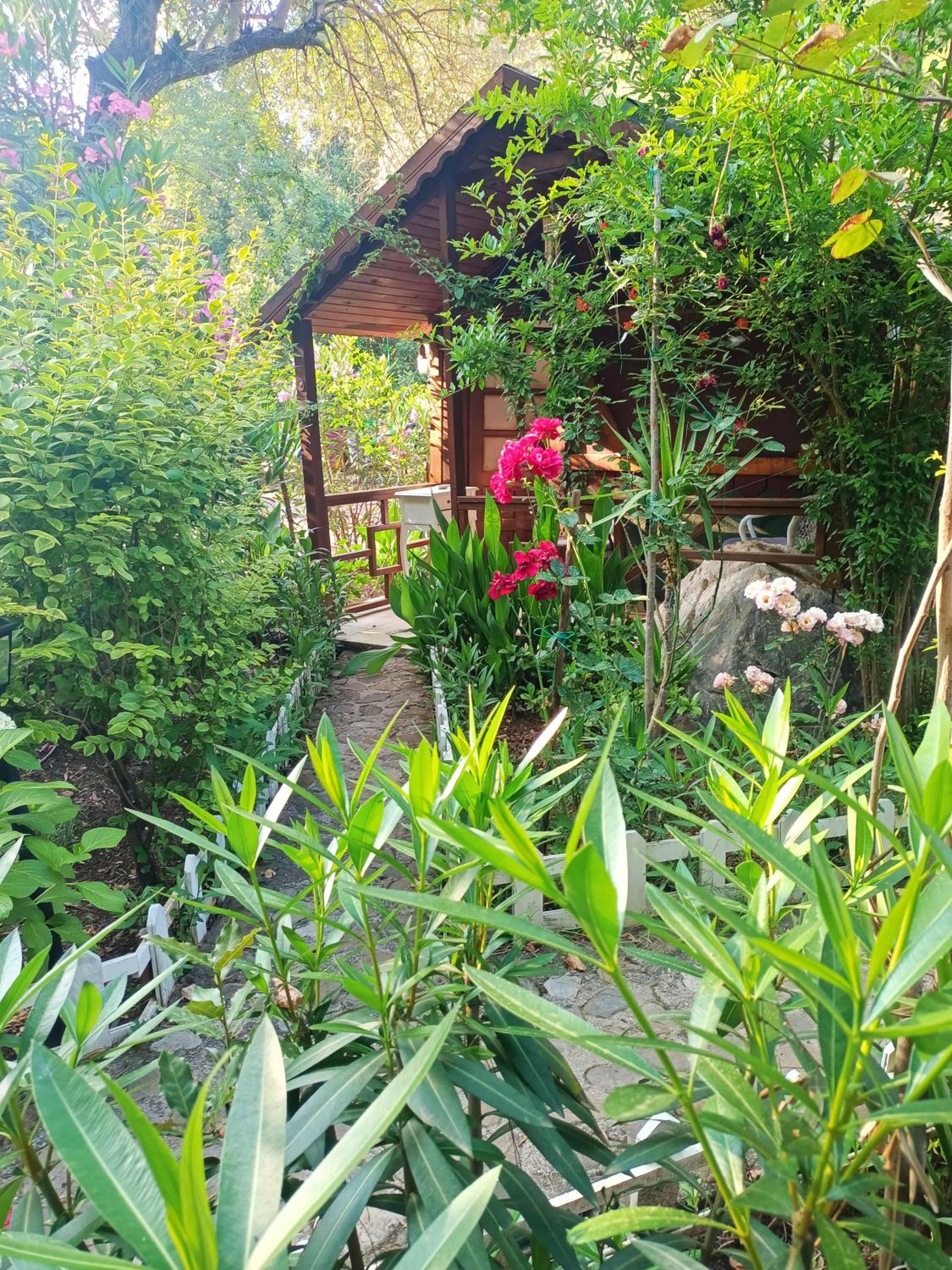 Canario Pension Bungalow 31/50