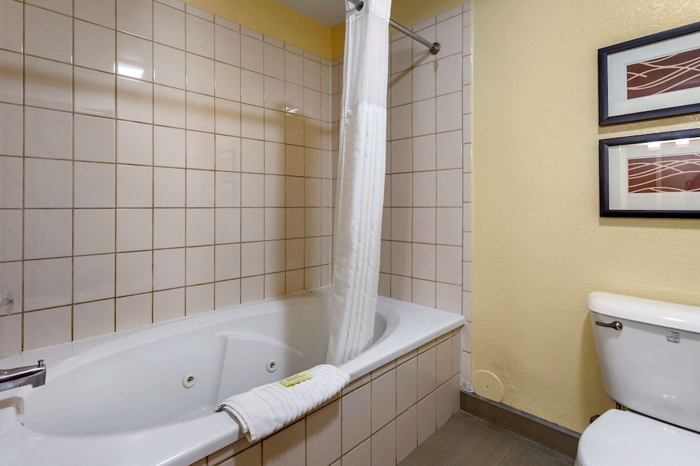 Comfort Inn and Suites North Aurora Naperville 41/50