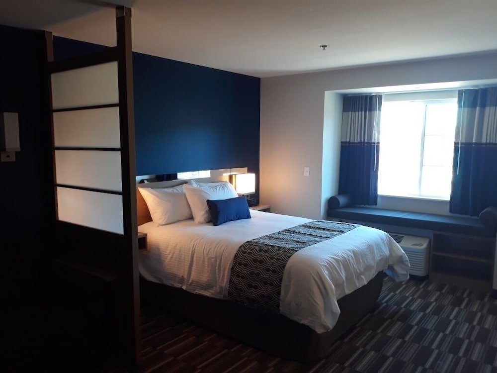 Microtel Inn & Suites by Wyndham Woodland Park 9/33