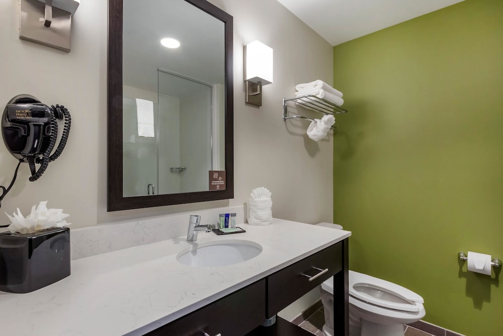 Sleep Inn & Suites Tampa South 16/42
