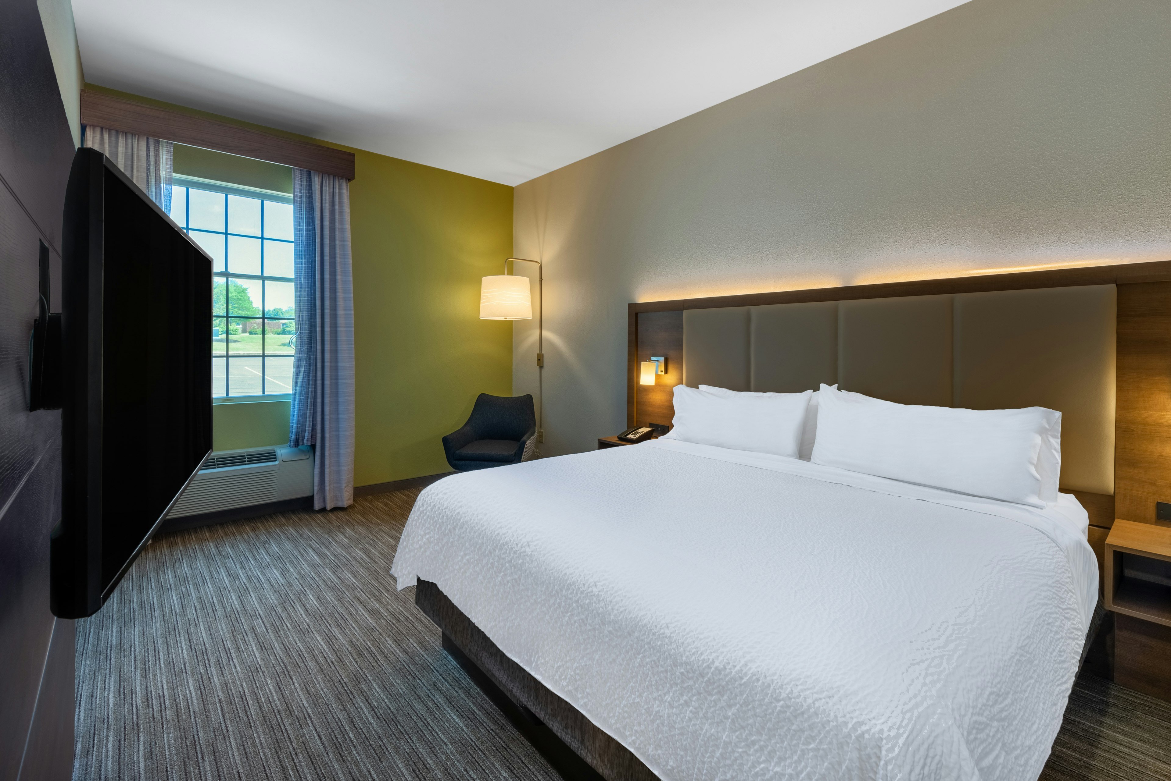 Suite, King Bed