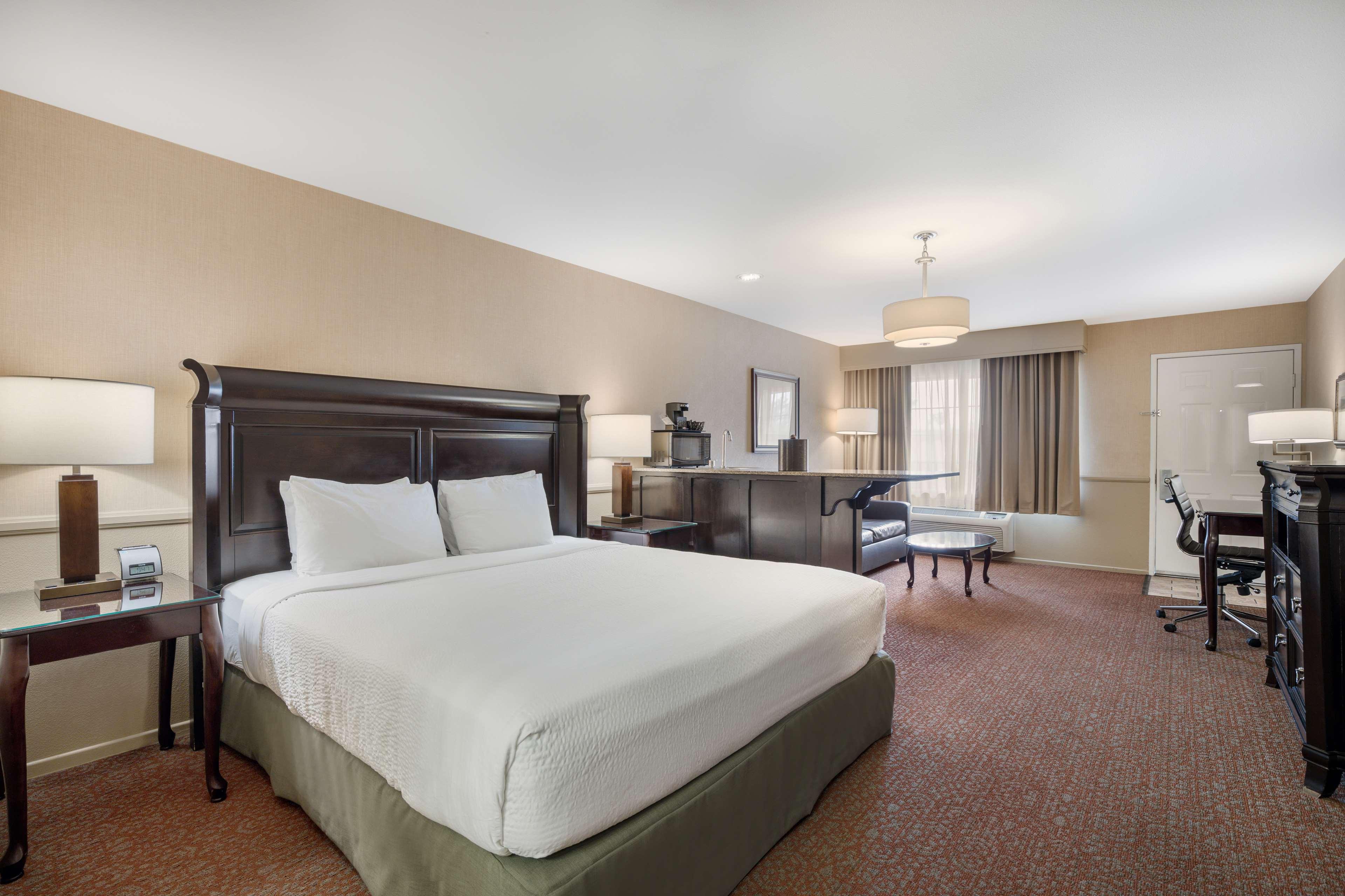 Suite, King Bed