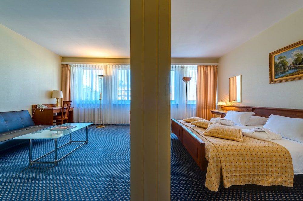 Hotel Century Geneve (ex Best Western Century) 13/33