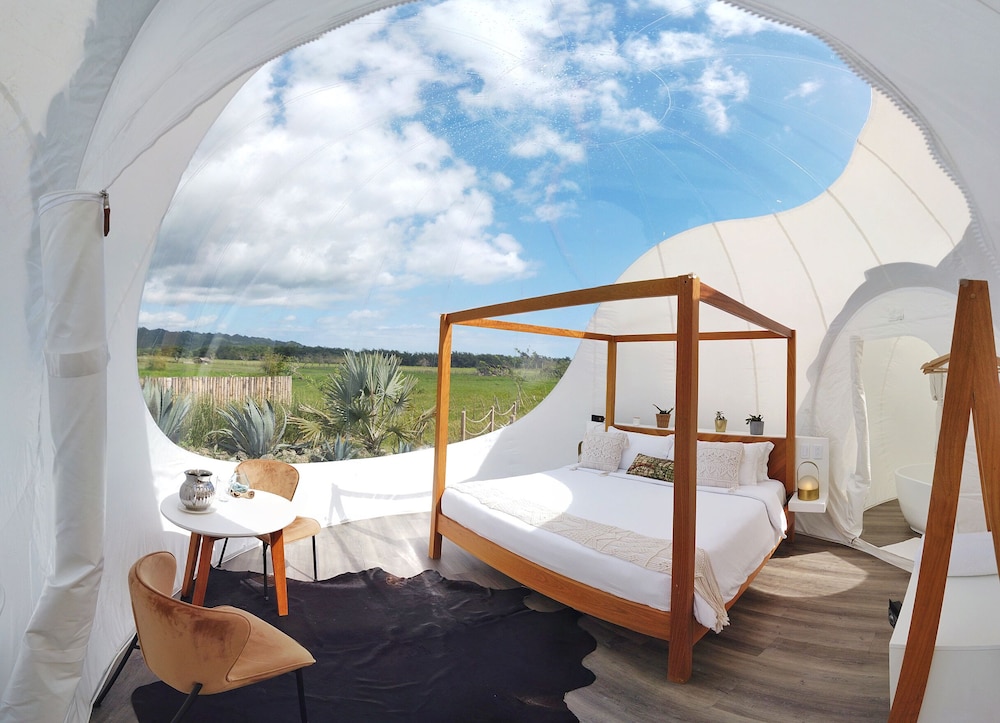 Green Land Bubble Glamping 36/60