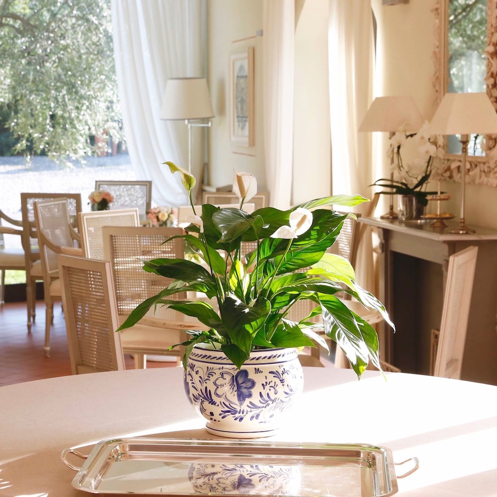 Hotel Villa Agnese 29/50
