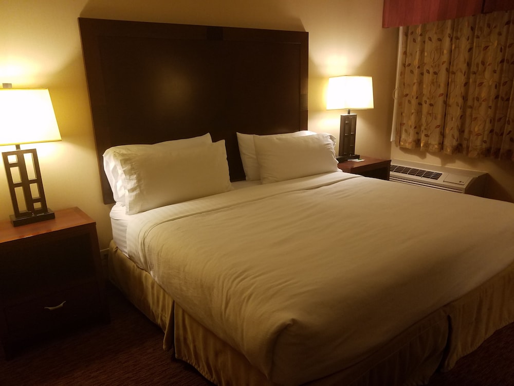 Holiday Inn Friso by IHG 16/68
