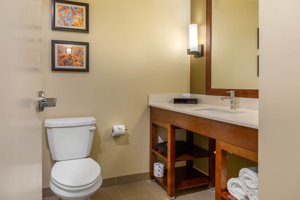 غرفة قياسية بسريرين كوين، Comfort Inn & Suites Gap Amish Country 10/10