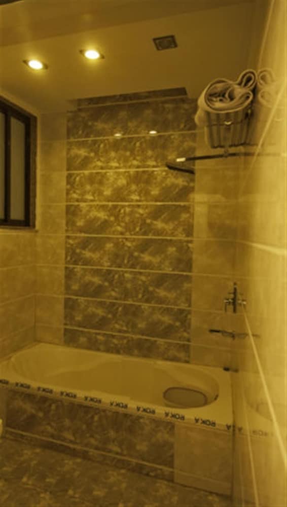 AIRPORT HOTEL DELHI 37 37/64