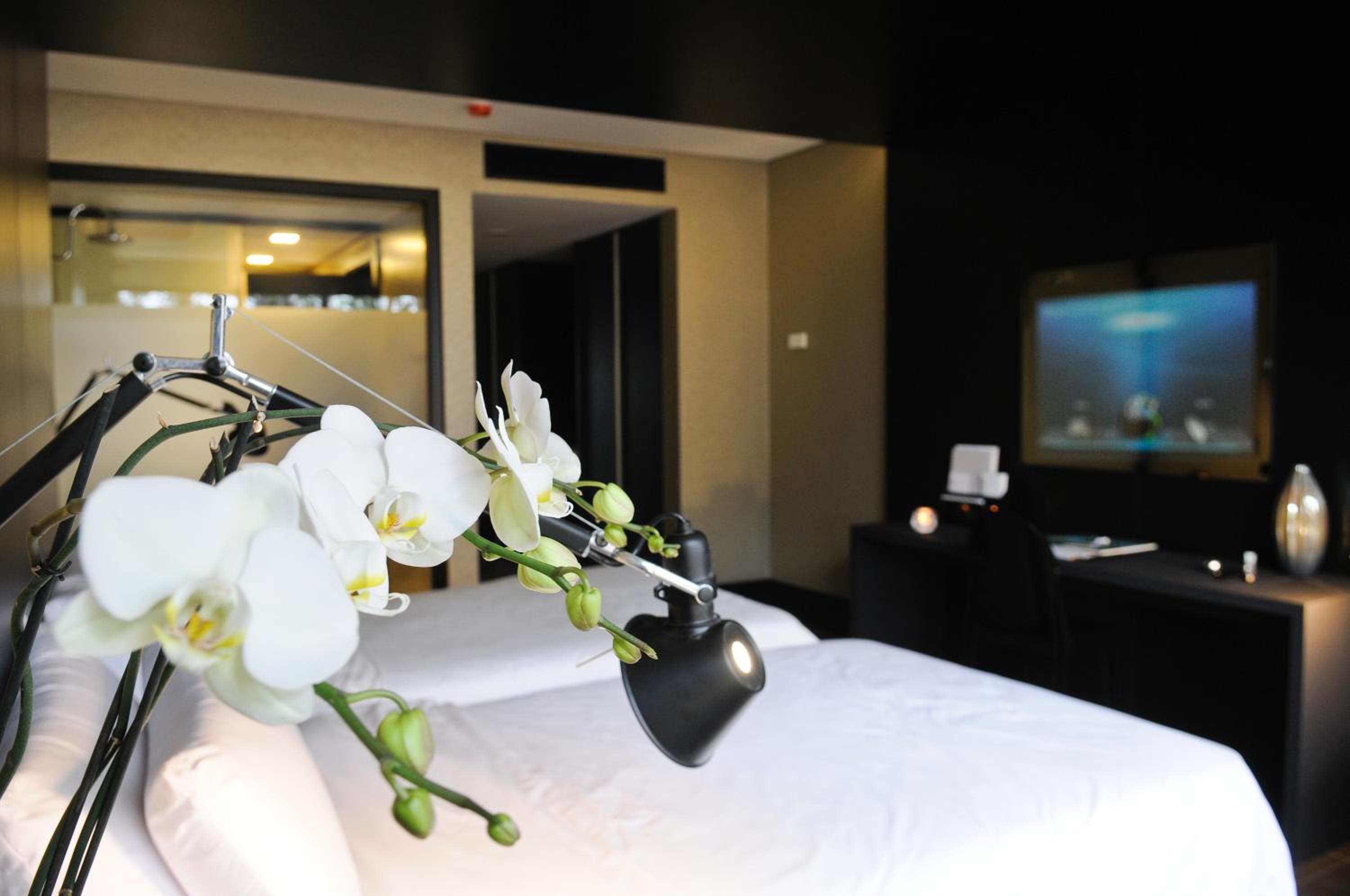 Classic, King Bed