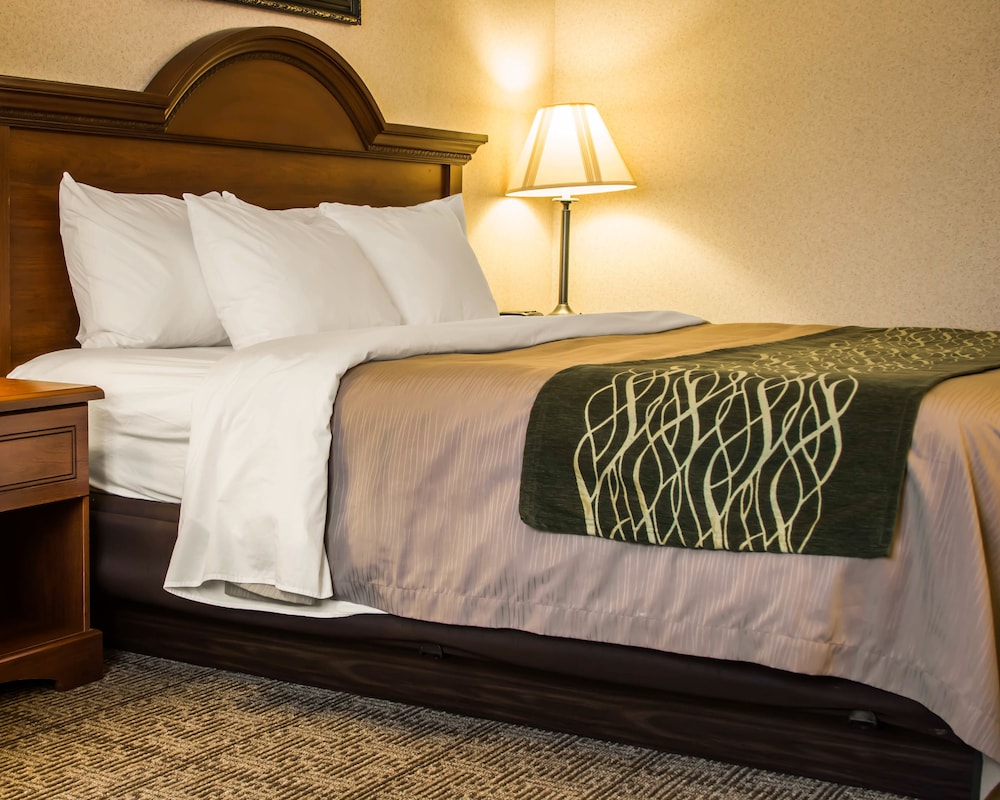 Comfort Inn Suites Dimondale Lansing 22/35