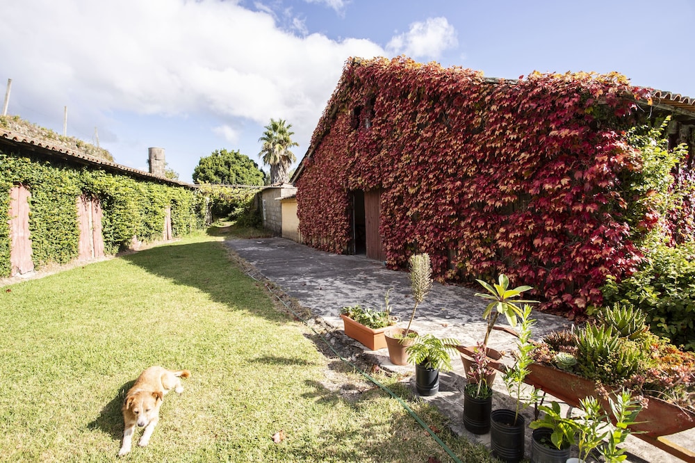 Casa Da Varzea 20/44