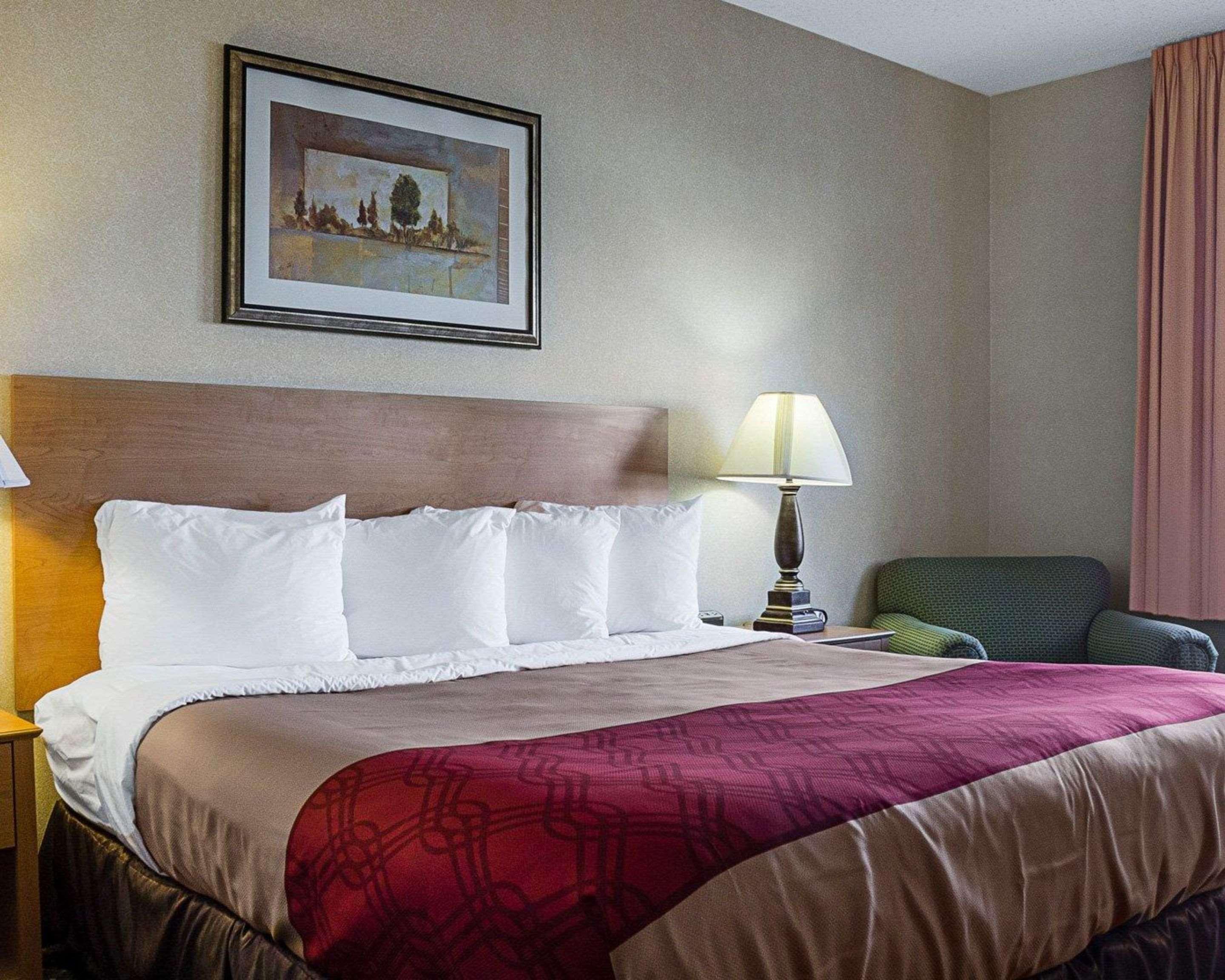 SUITE, KING BED